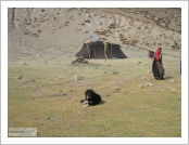 Ƽ��(Ƽ��Ʈ, tibet) �Ƹ�(���, Ngari)