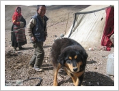 Ƽ��(Ƽ��Ʈ, tibet) �Ƹ�(���, Ngari)