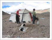 Ƽ��(Ƽ��Ʈ, tibet) �Ƹ�(���, Ngari)