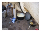 Ƽ��(Ƽ��Ʈ, tibet) �Ƹ�(���, Ngari)