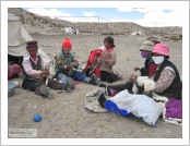 Ƽ��(Ƽ��Ʈ, tibet) �Ƹ�(���, Ngari)