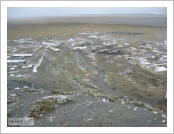 Ƽ��(Ƽ��Ʈ, tibet) �Ƹ�(���, Ngari) ���̻�(��گߣ), �Ż�(��ߣ : �� ��), ī�϶�, �ٸ�þ(darchen)