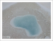 Ƽ��(Ƽ��Ʈ, tibet) �Ƹ�(���, Ngari)