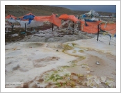 Ƽ��(Ƽ��Ʈ, tibet) �Ƹ�(���, Ngari) ����(ڦ�� : �վ�, Moincer)