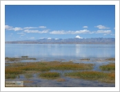 Ƽ��(Ƽ��Ʈ, tibet) �Ƹ�(���, Ngari) ��ȣ(���, Manasarovar)