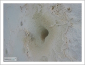 Ƽ��(Ƽ��Ʈ, tibet) �Ƹ�(���, Ngari)