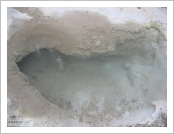 Ƽ��(Ƽ��Ʈ, tibet) �Ƹ�(���, Ngari)