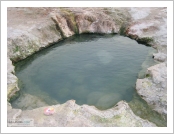 Ƽ��(Ƽ��Ʈ, tibet) �Ƹ�(���, Ngari)