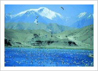 �ݰ�ȣ(������ : ������, �Ȱ�ȣ��)