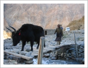 Ƽ��(Ƽ��Ʈ, tibet) �Ƹ�(���, Ngari)