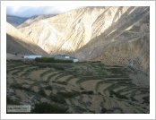 Ƽ��(Ƽ��Ʈ, tibet) �Ƹ�(���, Ngari)