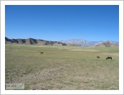 Ƽ��(Ƽ��Ʈ, tibet) �Ƹ�(���, Ngari)