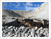 Ƽ��(Ƽ��Ʈ, tibet) �Ƹ�(���, Ngari)