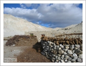 Ƽ��(Ƽ��Ʈ, tibet) �Ƹ�(���, Ngari)