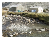 Ƽ��(Ƽ��Ʈ, tibet) �Ƹ�(���, Ngari)