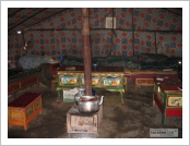 Ƽ��(Ƽ��Ʈ, tibet) �Ƹ�(���, Ngari)