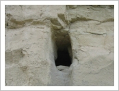 Ƽ��(Ƽ��Ʈ, tibet) �Ƹ�(���, Ngari) ���� �ձ�(Guge Dynasty, ̫ͯ ����) ��ü����