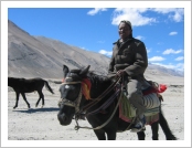 Ƽ��(Ƽ��Ʈ, tibet) �Ƹ�(���, Ngari)