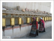 Ƽ��(Ƽ��Ʈ, tibet) �Ƹ�(���, Ngari) �ڴ�