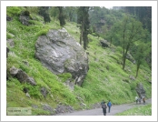 �ε� ��(Leh)-���ũ(Ladakh)