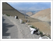 �ε� ��(Leh)-���ũ(Ladakh)