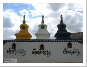 �ε� ��(Leh)-���ũ(Ladakh)