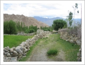 �ε� ��(Leh)-���ũ(Ladakh)