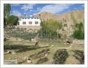 �ε� ��(Leh)-���ũ(Ladakh)