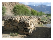 �ε� ��(Leh)-���ũ(Ladakh)