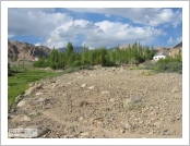 �ε� ��(Leh)-���ũ(Ladakh)