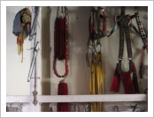 �ε� ��(Leh)-���ũ(Ladakh)