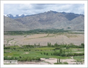 �ε� ��(Leh)-���ũ(Ladakh)