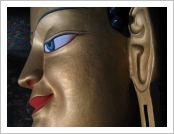 �ε� ��(Leh)-���ũ(Ladakh)