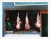 �ε� ��(Leh)-���ũ(Ladakh)