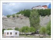 �ε� ��(Leh)-���ũ(Ladakh)