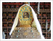 �ε� ��(Leh)-���ũ(Ladakh)