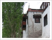 �ε� ��(Leh)-���ũ(Ladakh)