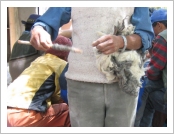 �ε� ��(Leh)-���ũ(Ladakh)