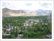 �ε� ��(Leh)-���ũ(Ladakh)