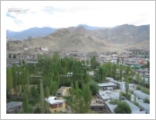 �ε� ��(Leh)-���ũ(Ladakh)