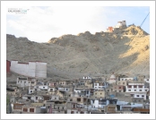 �ε� ��(Leh)-���ũ(Ladakh)