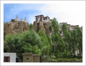 �ε� ��(Leh)-���ũ(Ladakh)