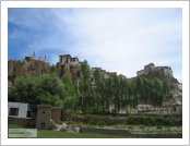 �ε� ��(Leh)-���ũ(Ladakh)