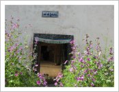 �ε� ��(Leh)-���ũ(Ladakh)