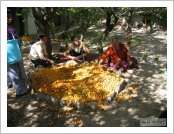 �ε� ��(Leh)-���ũ(Ladakh)