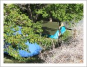 �ε� ��(Leh)-���ũ(Ladakh)