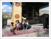 �ε� ��(Leh)-���ũ(Ladakh)