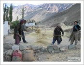 �ε� ��(Leh)-���ũ(Ladakh)