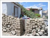 �ε� ��(Leh)-���ũ(Ladakh)