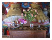 �ε� ��(Leh)-���ũ(Ladakh)